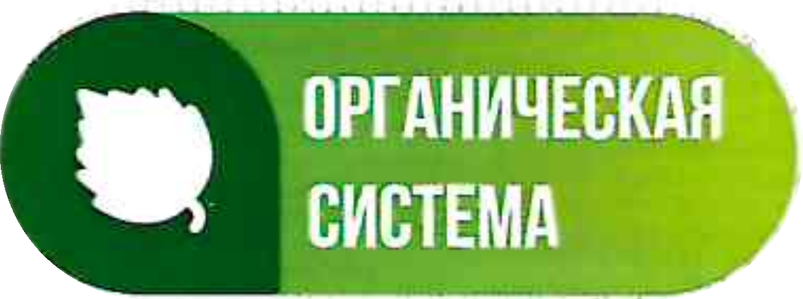 Органическая система